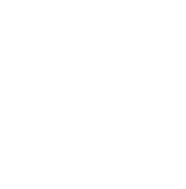 Joshua Prints